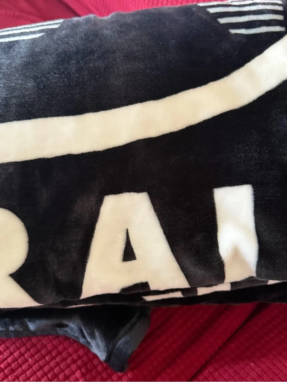 Las Vegas Raiders Black & White Plush Throw Blanket